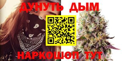 трава Кингисепп