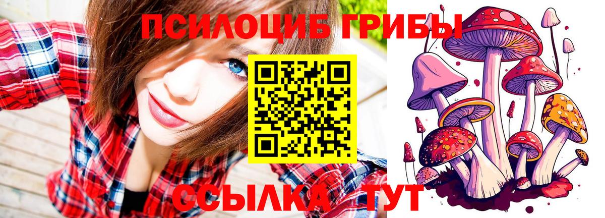 Псилоцибиновые грибы MAGIC MUSHROOMS Иваново